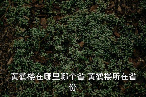  黃鶴樓在哪里哪個省 黃鶴樓所在省份