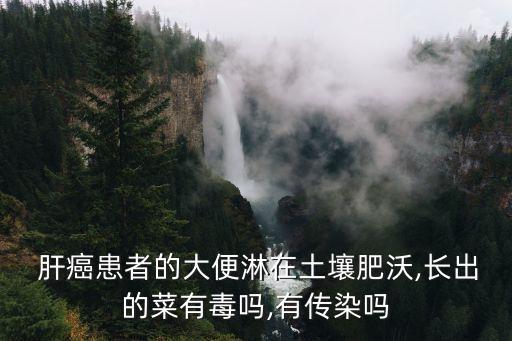  肝癌患者的大便淋在土壤肥沃,長出的菜有毒嗎,有傳染嗎