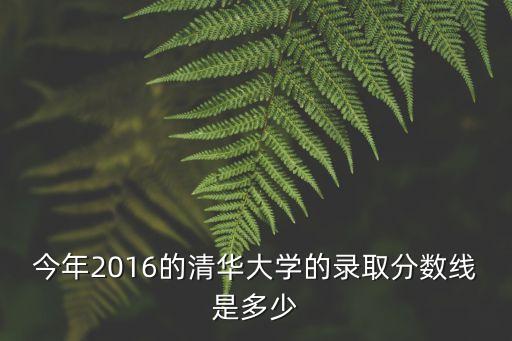 2016屆上海市清華錄取情況，2016上海各大學(xué)錄取分?jǐn)?shù)線是多少