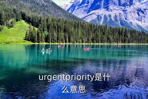 urgent是什么意思,警方逮捕一名非常年長的男子