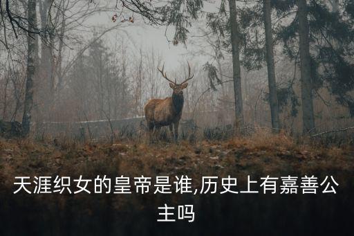 黃道婆的簡介,黃道婆的故事