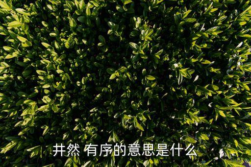 什么然有序,回顧（一）:新加坡大選】