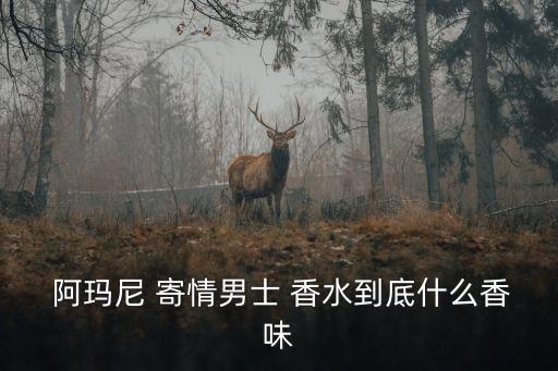  阿瑪尼 寄情男士 香水到底什么香味