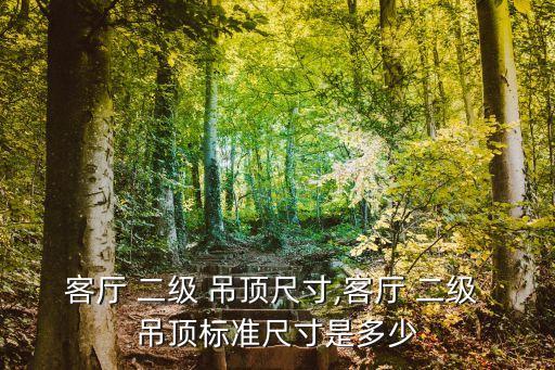 二級吊頂效果圖,吊頂分三種類型區分吊頂第一級通過驗證