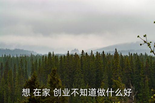 想 在家 創業不知道做什么好
