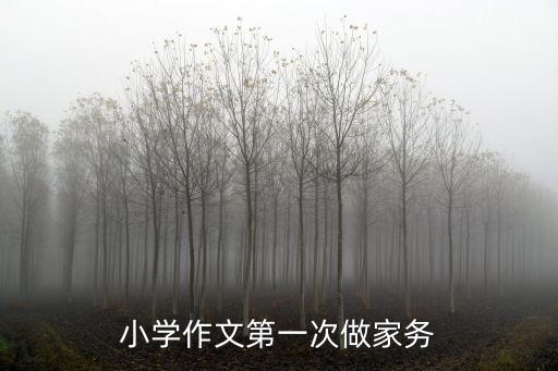 第一次做家務(wù)，寒假里做的第一件家務(wù)事作文300字