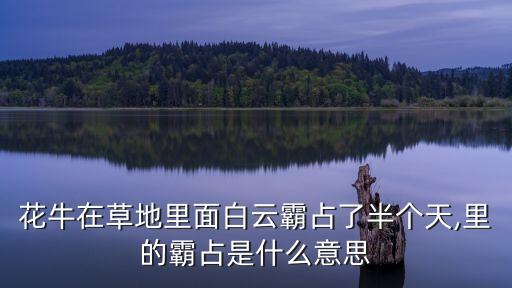 花牛在草地里面白云霸占了半個天,里的霸占是什么意思