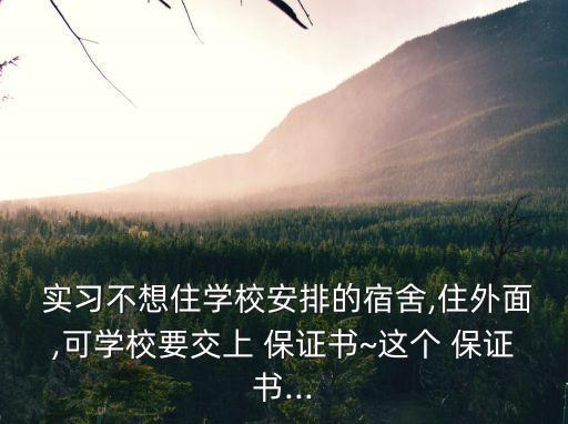 實習保證書,我讓你寫保證書你會主動殺我無效