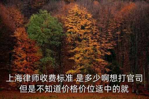 上海市律師收費規(guī)定，上海律師收費標準 是多少啊想打官司但是不知道價格價位適中的就