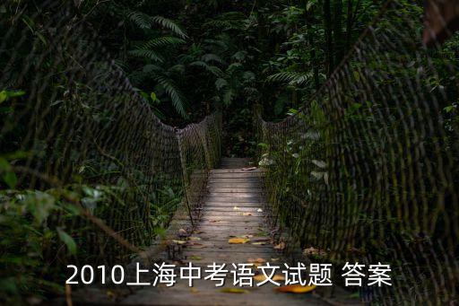 2010上海中考語文試題 答案
