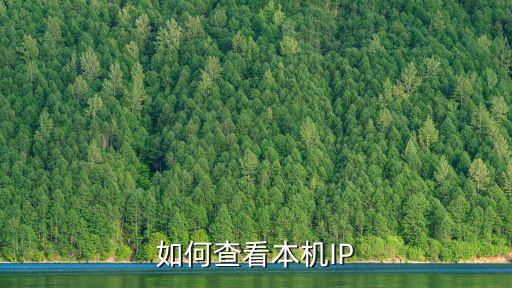 查詢本機ip，本臺電腦的IP怎么查