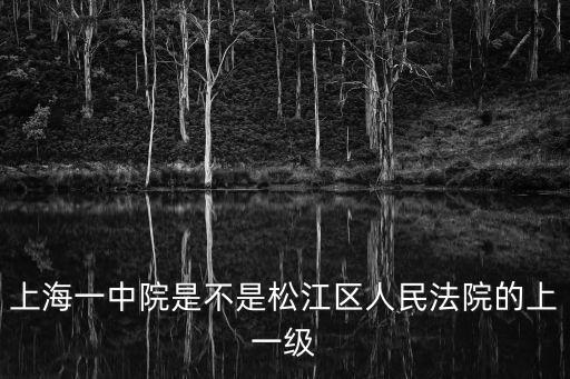 上海一中院是不是松江區人民法院的上一級