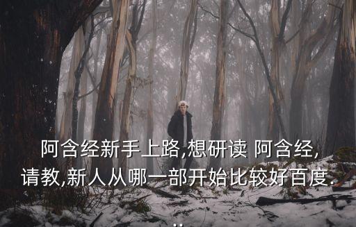  阿含經新手上路,想研讀 阿含經,請教,新人從哪一部開始比較好百度...