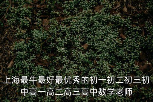 上海最牛最好最優秀的初一初二初三初中高一高二高三高中數學老師