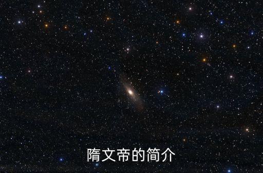 隋文帝的簡介