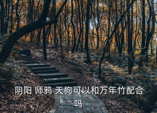 陰陽師鴉天狗,攻擊神推薦渡鴉天狗技能:被傷害時還手特性佳