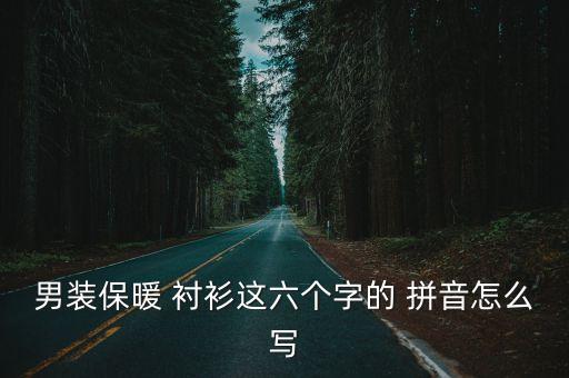 男裝保暖 襯衫這六個(gè)字的 拼音怎么寫