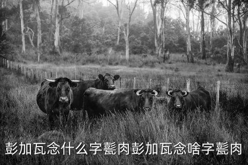 甏肉,改革開放后肉干飯走紅入民間