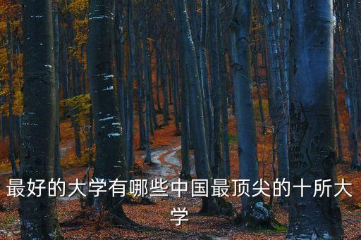 中國最頂尖的十所大學，中國最好的前10所大學是什么