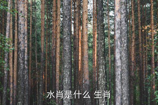 水是什么生肖,從出生日期看出你的五行屬什么