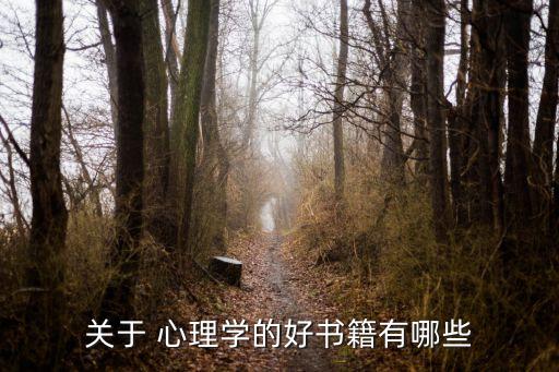 關于 心理學的好書籍有哪些