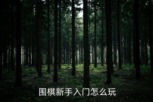 圍棋怎么玩,圍棋知多少（18）