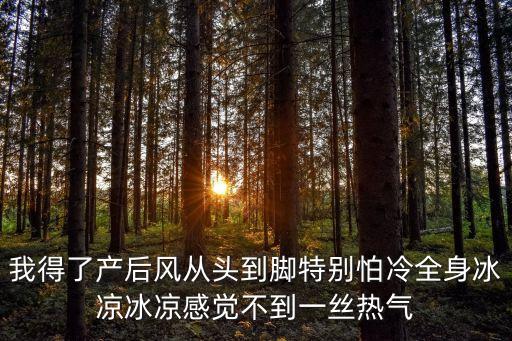 紅藍花酒，我得了產后風從頭到腳特別怕冷全身冰涼冰涼感覺不到一絲熱氣