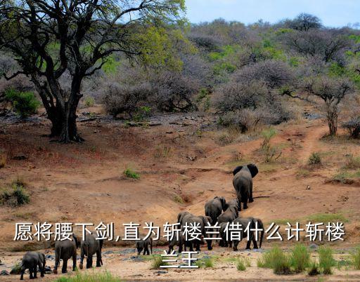 愿將腰下劍,《塞上之歌》第二集:我愿把劍放腰間斬樓蘭