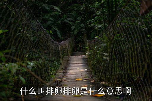 什么叫排卵排卵是什么意思啊