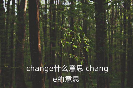  change什么意思 change的意思