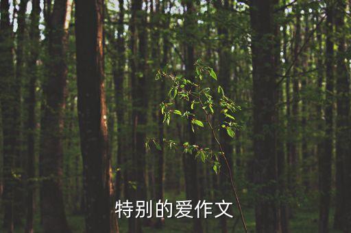 特別的愛作文