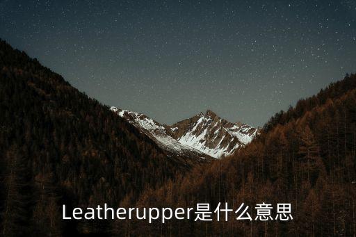 leather是什么意思,關于皮革你必須知道的事情