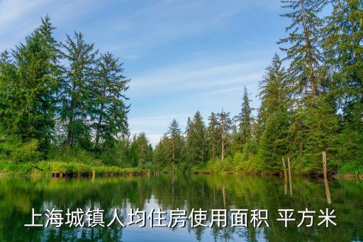 上海城鎮人均住房使用面積 平方米