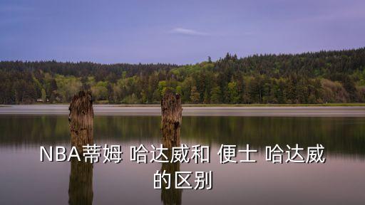 NBA蒂姆 哈達威和 便士 哈達威的區別