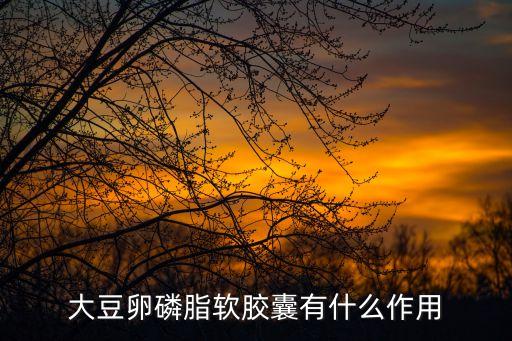 大豆卵磷脂軟膠囊有什么作用