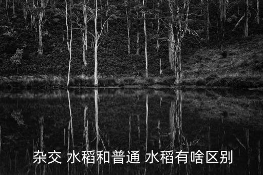  雜交 水稻和普通 水稻有啥區別