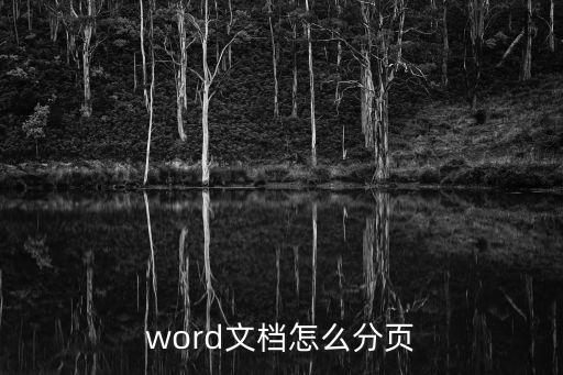 word怎么分頁，怎么在WORD中分頁