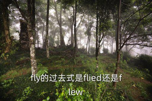 fly過去式,精選新加坡妹妹的獨家】