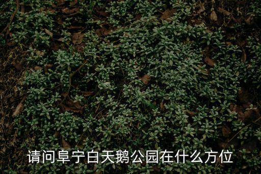 白天鵝公園，請問阜寧白天鵝公園在什么方位