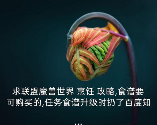 求聯盟魔獸世界 烹飪 攻略,食譜要可購買的,任務食譜升級時扔了百度知...