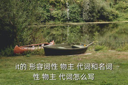 it的形容詞性物主代詞,物主代詞是名詞還是形容詞?