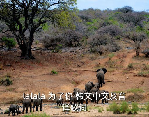 為了你歌詞，求 林在范為了你羅馬文歌詞