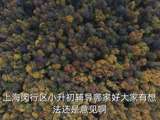 上海閔行區小升初輔導哪家好大家有想法還是意見啊