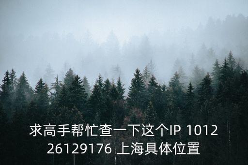 求高手幫忙查一下這個IP 101226129176 上海具體位置