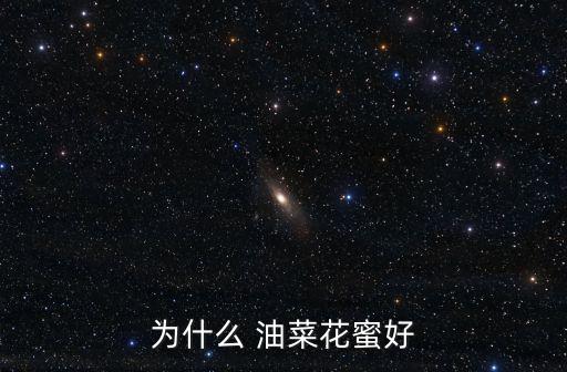 為什么 油菜花蜜好