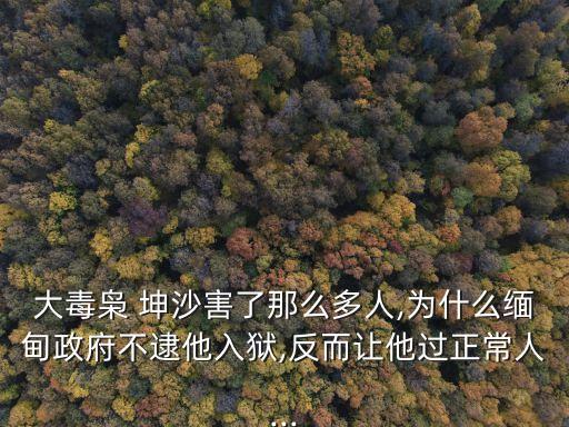 坤沙集團,海洛因走私犯首要分子坤沙向緬甸政府投降