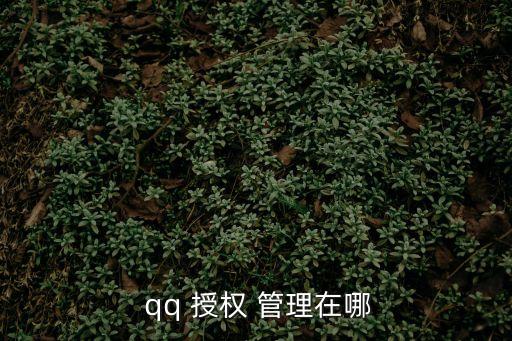  qq 授權 管理在哪