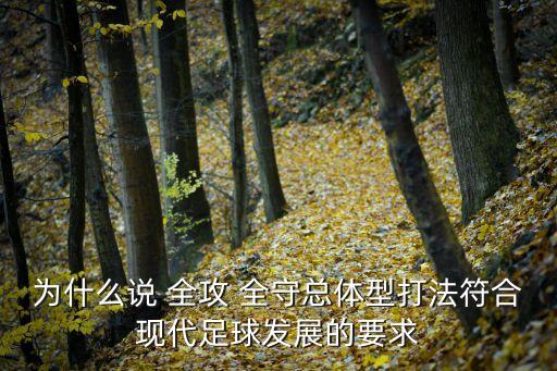 全攻全守,荷蘭足球全攻全守風(fēng)格沒有持續(xù)下去原因:過時了