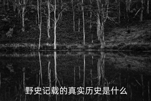  野史記載的真實歷史是什么