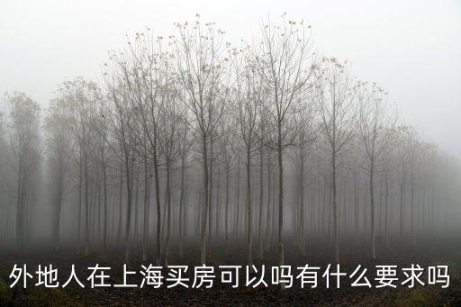 上海市購房資格認定能買嗎，外地人在上海買房可以嗎有什么要求嗎